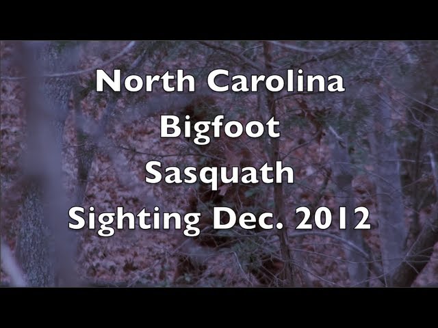 Carolina Bigfoot hunters claim sighting