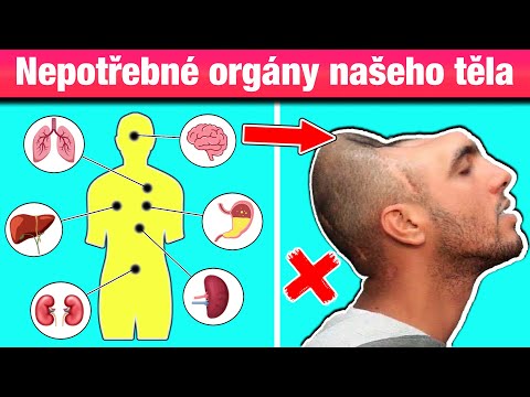 Video: Můžeme žít bez magnetického pole?