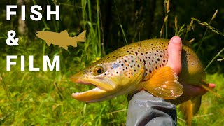 Fish and Film - Fish It Anyway