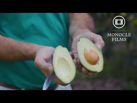 Coffee and avocados? How Sicily is turning tropical amid climate change