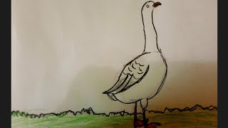 رسم اوزة بطريقه سهله /رسم سهل/رسم طيور How to  draw a goose