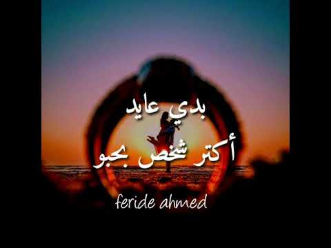 حالات واتس اب عيد الحب بعيد الحب بدي عايد اكتر شخص بحبو