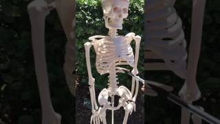Img 1220 Mov