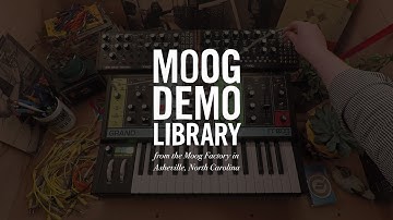 Grandmother | How to Create an Auto Bass Line with Mother-32