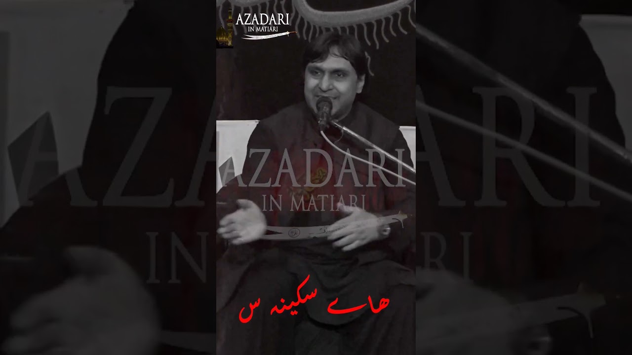 Allama zaheer ul hassan afaqui/Masaib bibi sakina #whatsappstatus  #sindh