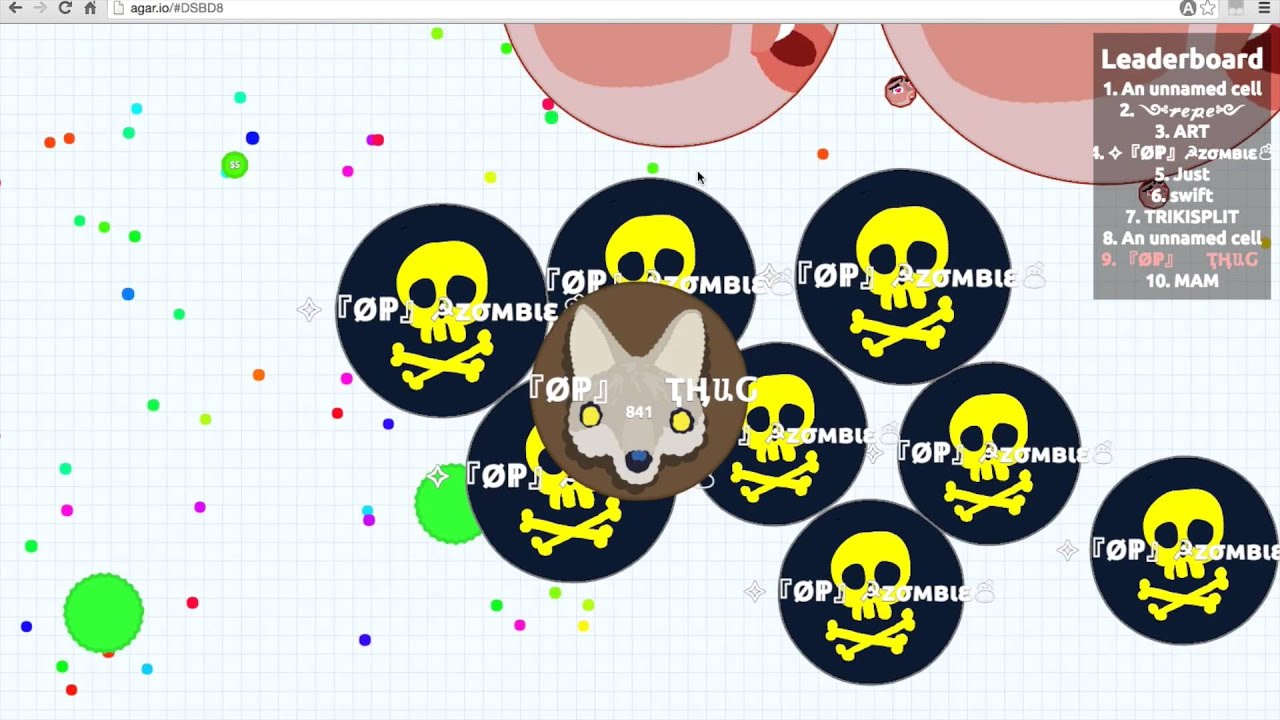 Montage: Tricksplit, Bait, and More...