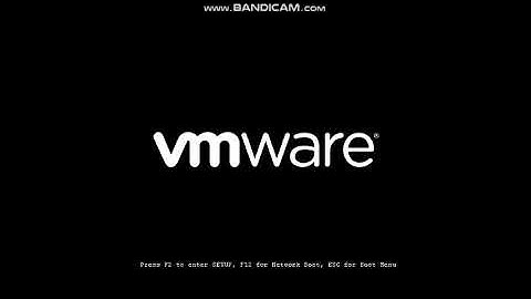 Installing Windows Vista on VMware