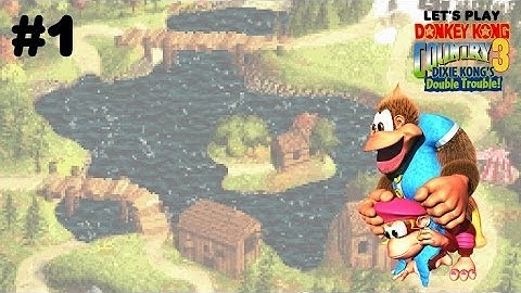 kitteh Co-Ops: *Donkey Kong Country 3: Dixie Kong