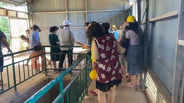 CẬN CẢNH NHÀ TÙ PHÚ QUỐC, ĐỊA NGỤC TRẦN GIAN