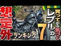 【初心者向け】初めてレブルに乗ったら驚きそうなことランキングTOP7!!【レブルあるある】