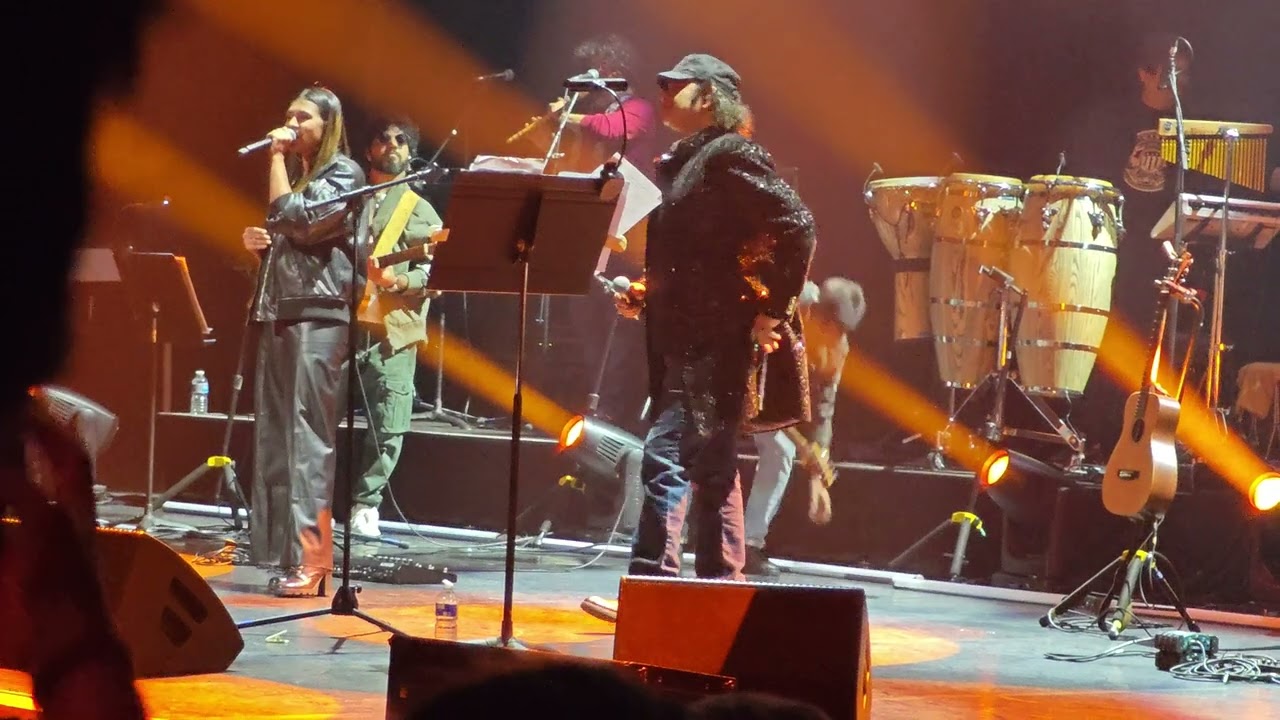 Mohit Chauhan Live - London - 2024 [8K] - Part 7