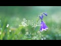 سورة الكهف بصوت القارئ أنس أكرم surah alkahf by reciter Anas Akram mp3