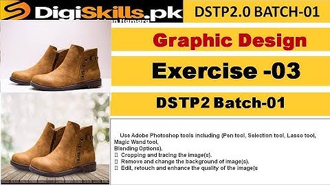 Digiskills 2.0 Graphic Design Exercise 3 Batch 01 Solution |  graphic design exercise 3 batch 1