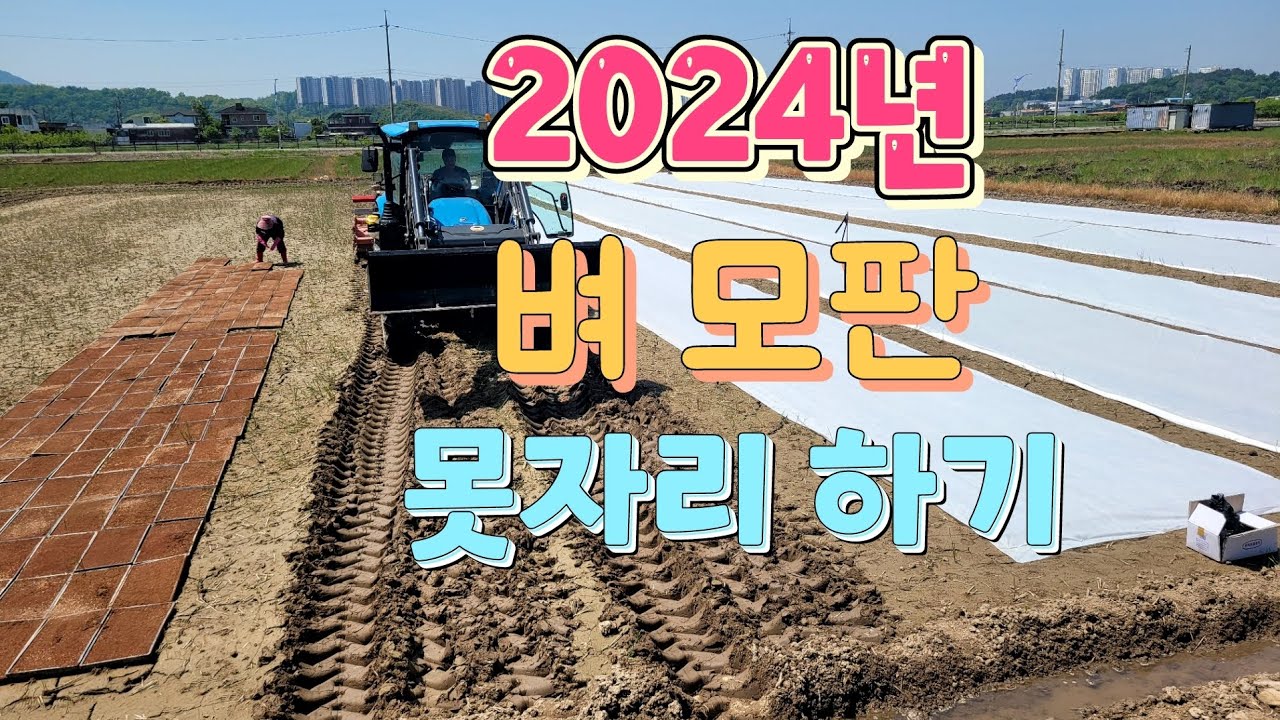 2024년 벼 모판 못자리하기 4월 26일 ~ 27일 - YouTube