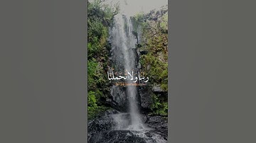 #سورة_البقرة #surrah #قرآن #quran #quranchapter #اكسبلور #قران_كريم #تلاوة_خاشعة #تلاوات