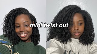 MINI TWIST OUT ON NATURAL HAIR (type 4) ✨