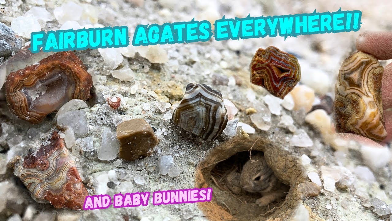 Agates Everywhere! Full Day Of Fairburn Hunting!
