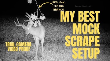 The Best Mock Scrape Setup! *Video Proof*