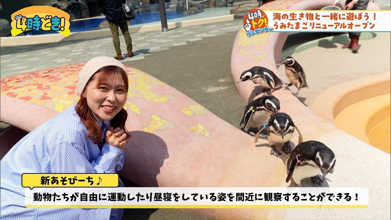 Play with sea creatures at the newly renovated 
