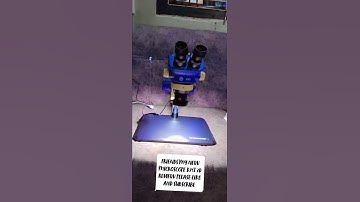 friends my new d75t 3d microscope review like and subscribe