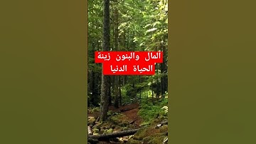 المال والبنون زينة الحياة الدنيا #quran #تلاوة_خاشعة #محمد_الفقيه #قرآن #القرآن_الكريم #تلاوات #لايك