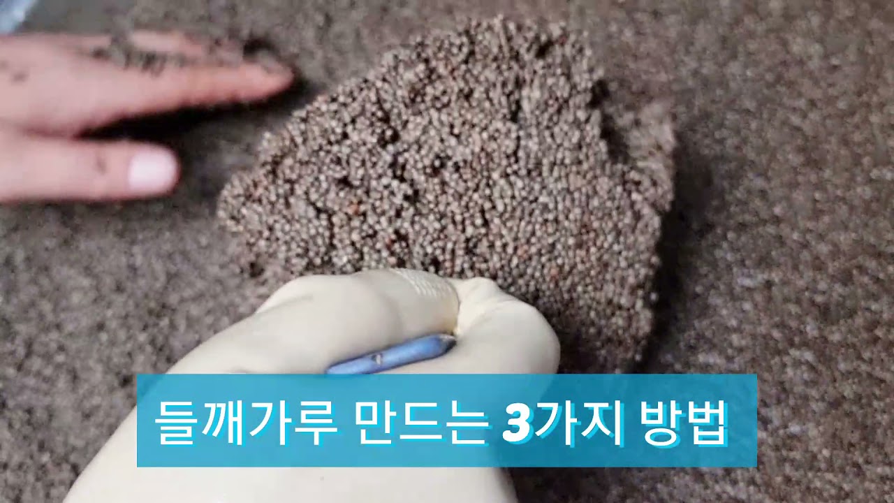 요리의 용도에 따라 만드는 들깨가루 만드는 방법 3가지