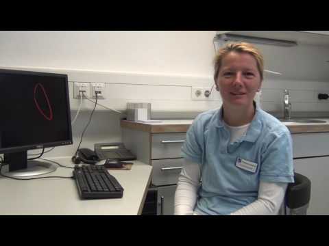 Video: Hornhautdystrophie bei Welpen