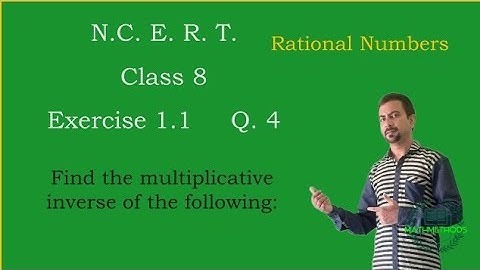 Class 8 Maths Chapter 1 Ex. 1.1 Q. 4 | Rational Numbers | NCERT | In English