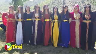 Daweta Kurdi MILANE - Muhteşem Halay Yeni 2018