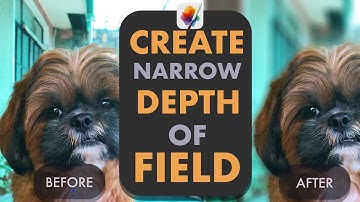 PIXELMATOR PRO: HOW TO CREATE REALISTIC NARROW DEPTH-OF-FIELD  WITH BOKEH BLUR AND LAYER MASKS