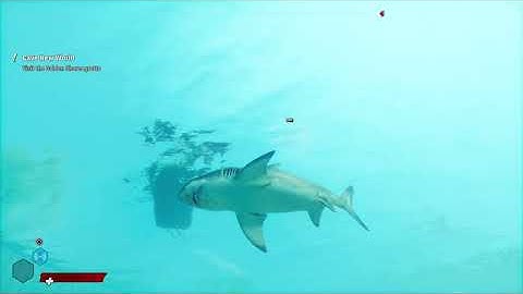 Maneater | Bull Jaws Unleashed | #6