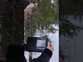 Что можно услышать в радиоэфире на Северо-Западе на магнитную антенну днем? #oldradio