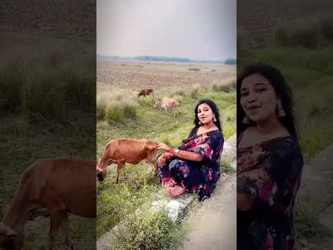 Sapanara ara pari gaon😜 #adyashavlog #youtube #trending #shorts #shortsviral  #subscribe #odisha