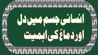 انسانی جسم میں کون سے دو اعضاء کی حقیقت انسان کے اعمال سے ظاہر ہوتی ہے