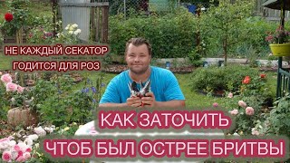 видео: НИЧТО НЕ ВЕЧНО - точить все равно придется. ОБЗОР СЕКАТОРОВ. картинка: НИЧТО НЕ ВЕЧНО - точить все равно придется. ОБЗОР СЕКАТОРОВ.