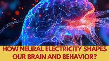 How neural electricity shapes our brain and behavior?