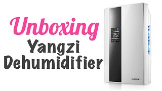 Yangzi Dehumidifier unboxing and review by Nelle Gomez 8,498 views 2 years ago 6 minutes, 23 seconds