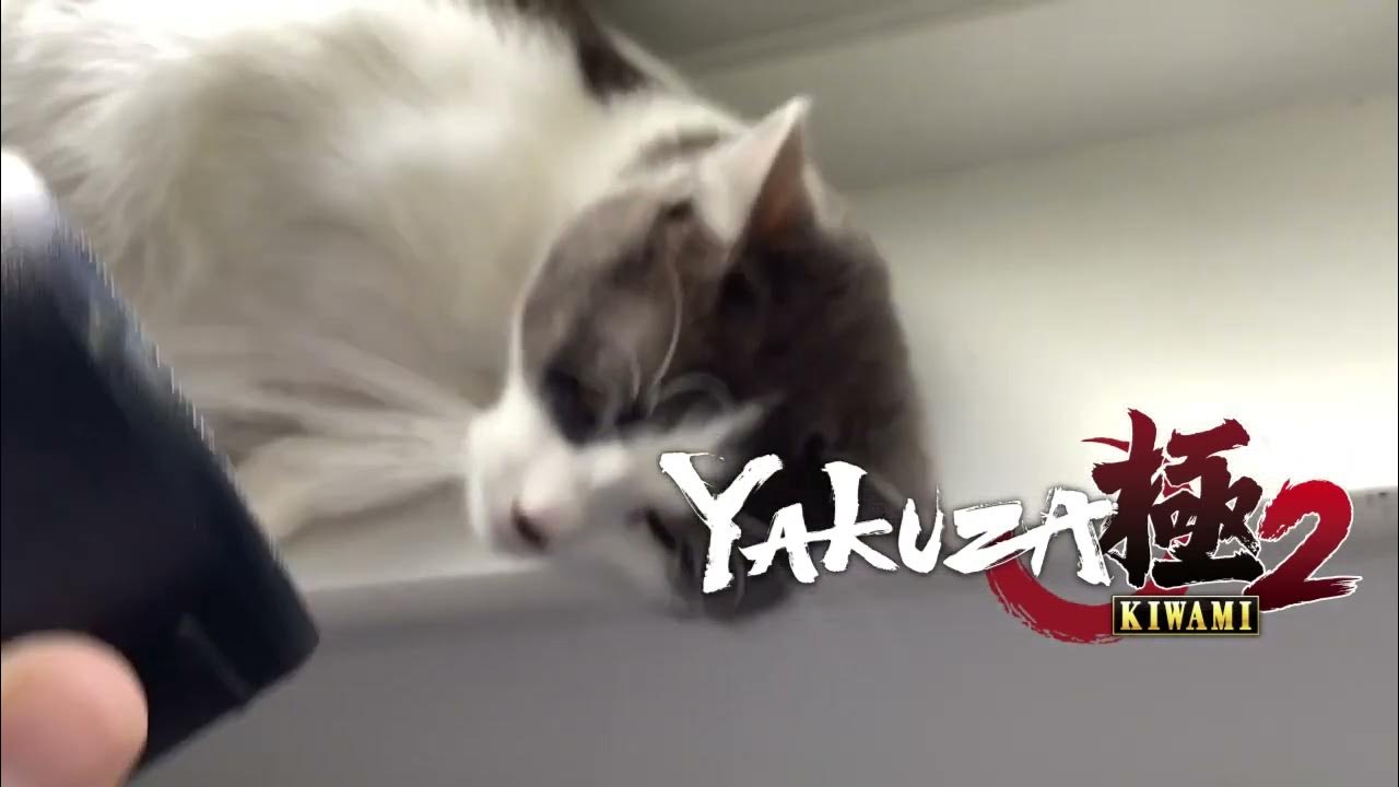 Yakuza 3 Cat YouTube