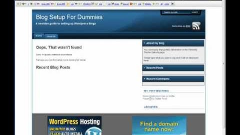Twitter Feed for Wordpress Plugin - Blog Setup For Dummies