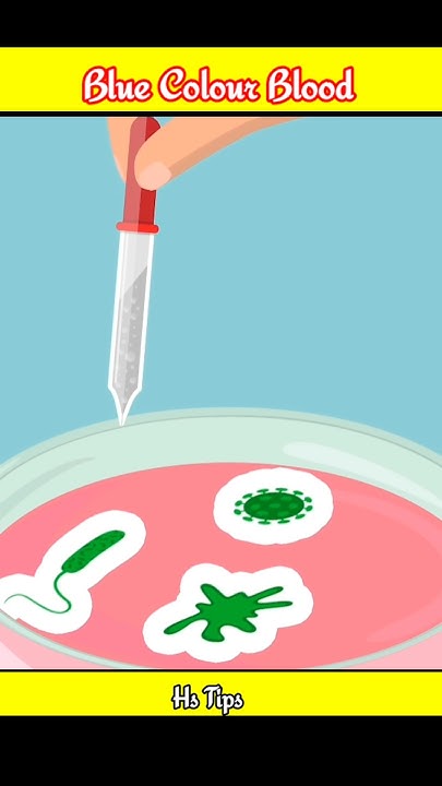 most-expensive-blood-in-the-world-short-youtube