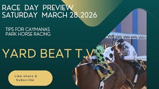 CAYMANAS PARK HORSE RACING TIPS. RACE DAY PREVIEW SATURDAY MARCH 28.2026 | YARD BEAT T.V 