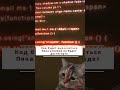 Тот самый ночной тыгыдык, который положил прод... 🐈💻