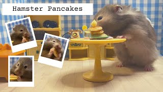 Making Hamster Pancakes