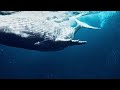 Deep Ocean Sleep 🌊 Drift Into Deep Rest | Calm & Safe Ocean Sounds