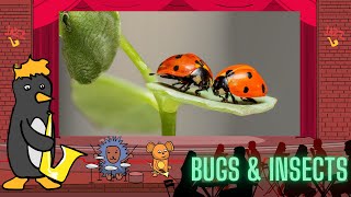 Jazz Baby: Bugs and Insects by Oxbridge Baby by oxbridgebaby 28,358 views 3 months ago 14 minutes, 12 seconds