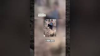 A peaceful walk in the woods #funnyshorts #funny #hilariousfails #funnyvideo #memes #comedy