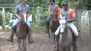 Mangalarga Marchador TV - programa 334