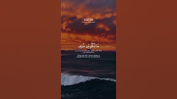 ‎#عبدالرحمن_مسعد #سورة_السجدة   #قرآن #quran #allah #الحمدلله #allahuakbar #لا_اله_الا_الله #muslim