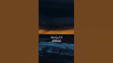 ريلز القران الكريم بدون حقوق- لشيخ عبدالرحمن مسعد HD