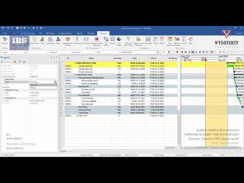 [Synchro PRO Basic] Project information
